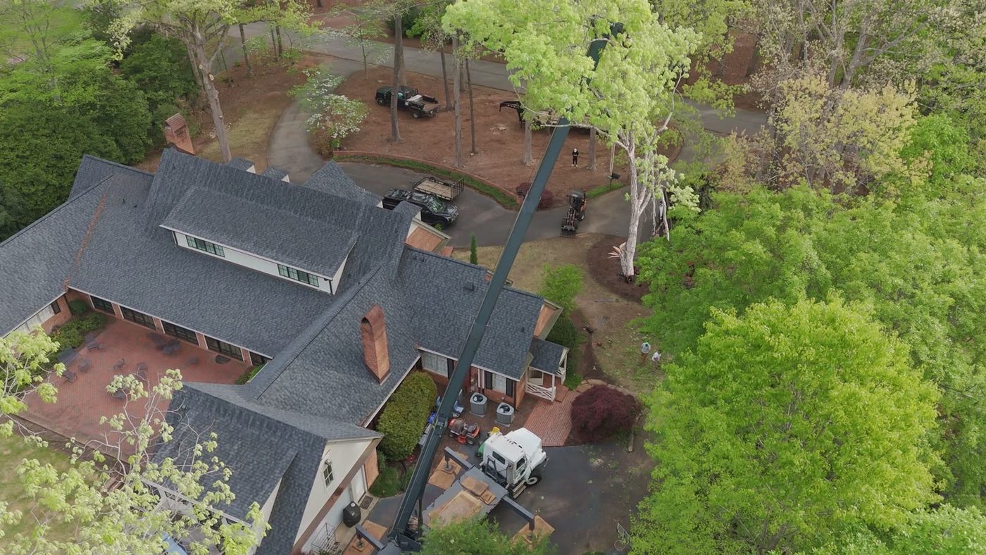 Aerial of a crane lifting a tree over a house