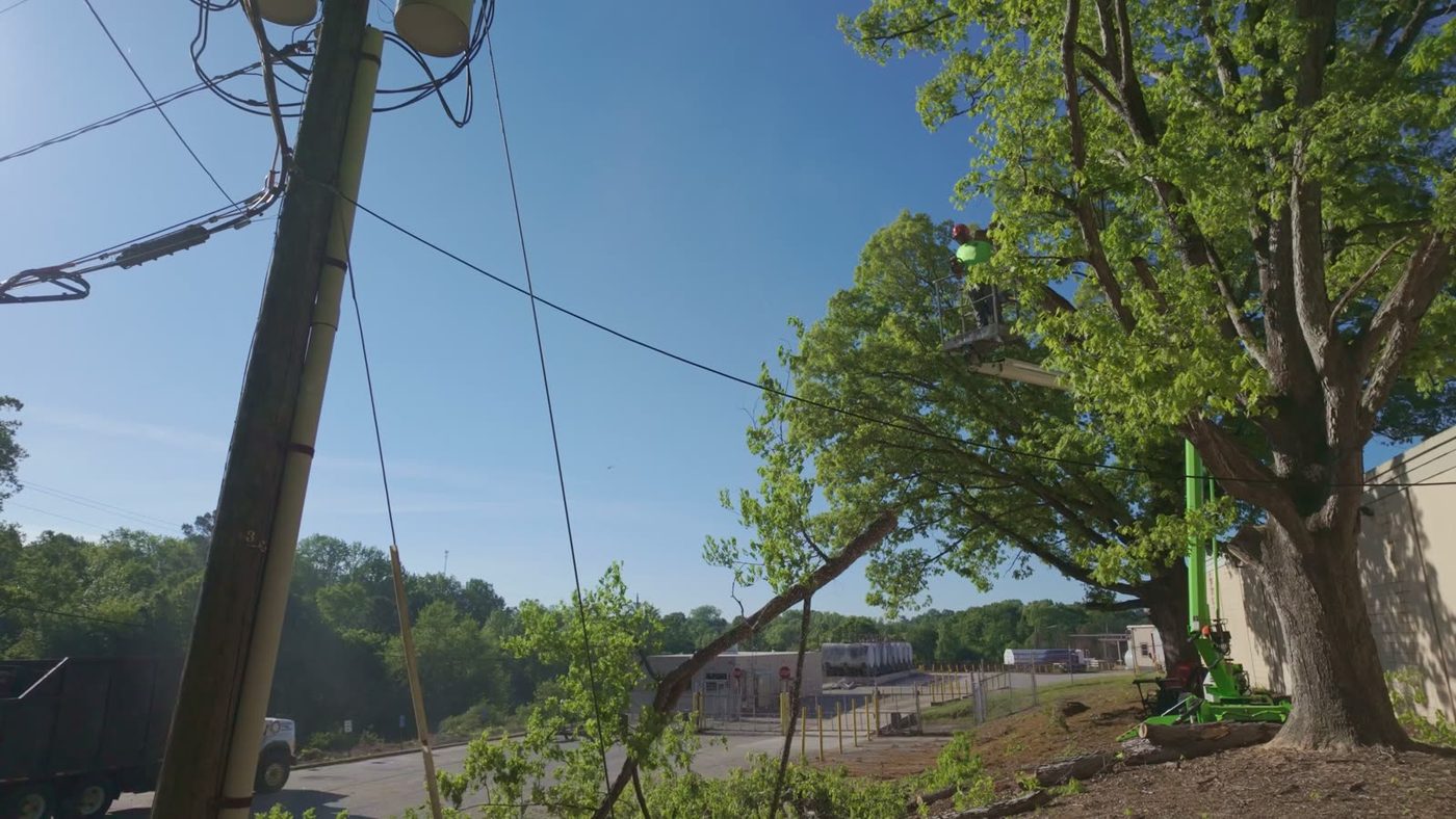 Removing a limb tight against power lines